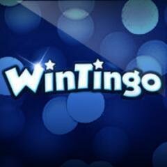 WinTingo logo blå